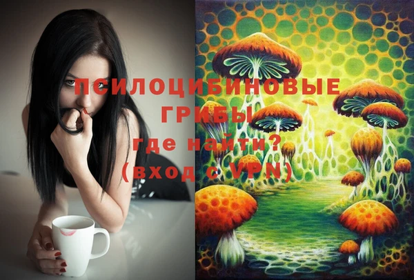 дмт Заволжск