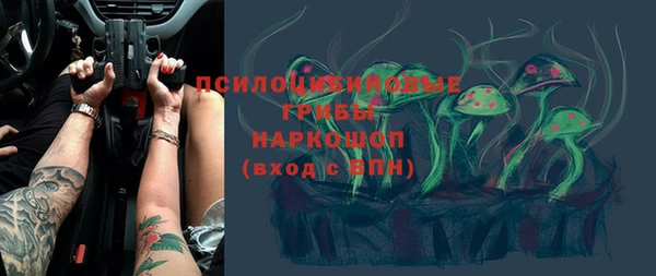 дмт Заволжск