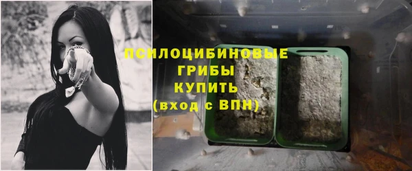 прущие крисы Заводоуковск