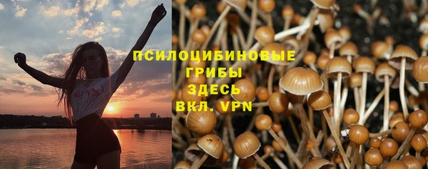 прущие крисы Заводоуковск