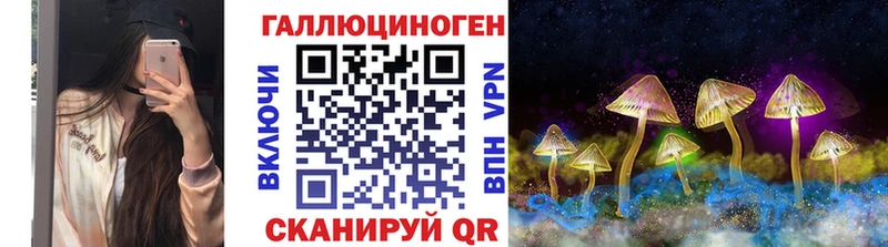 Галлюциногенные грибы Cubensis купить Зеленодольск